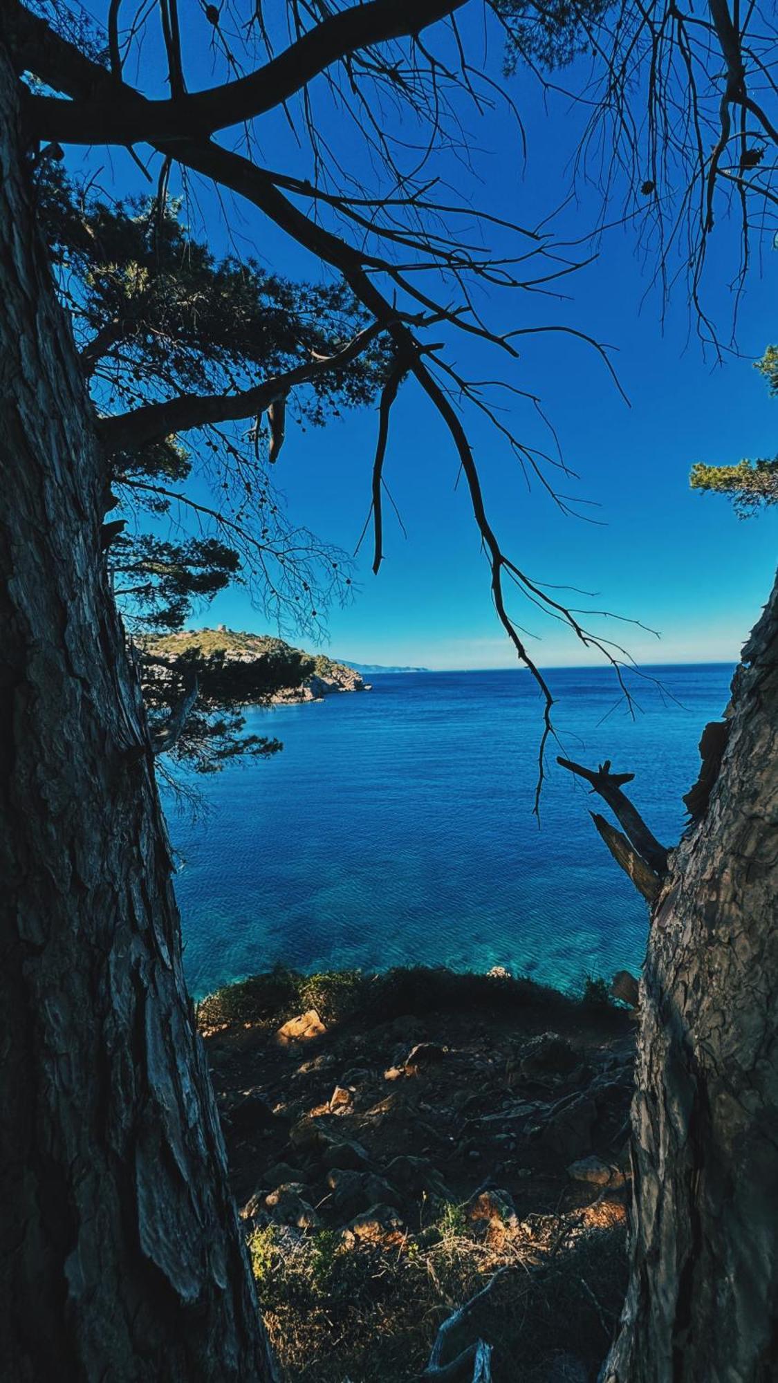 Can Romy Appartement T2F A 20M De La Plage De Cala Montgo L' Escala Εξωτερικό φωτογραφία