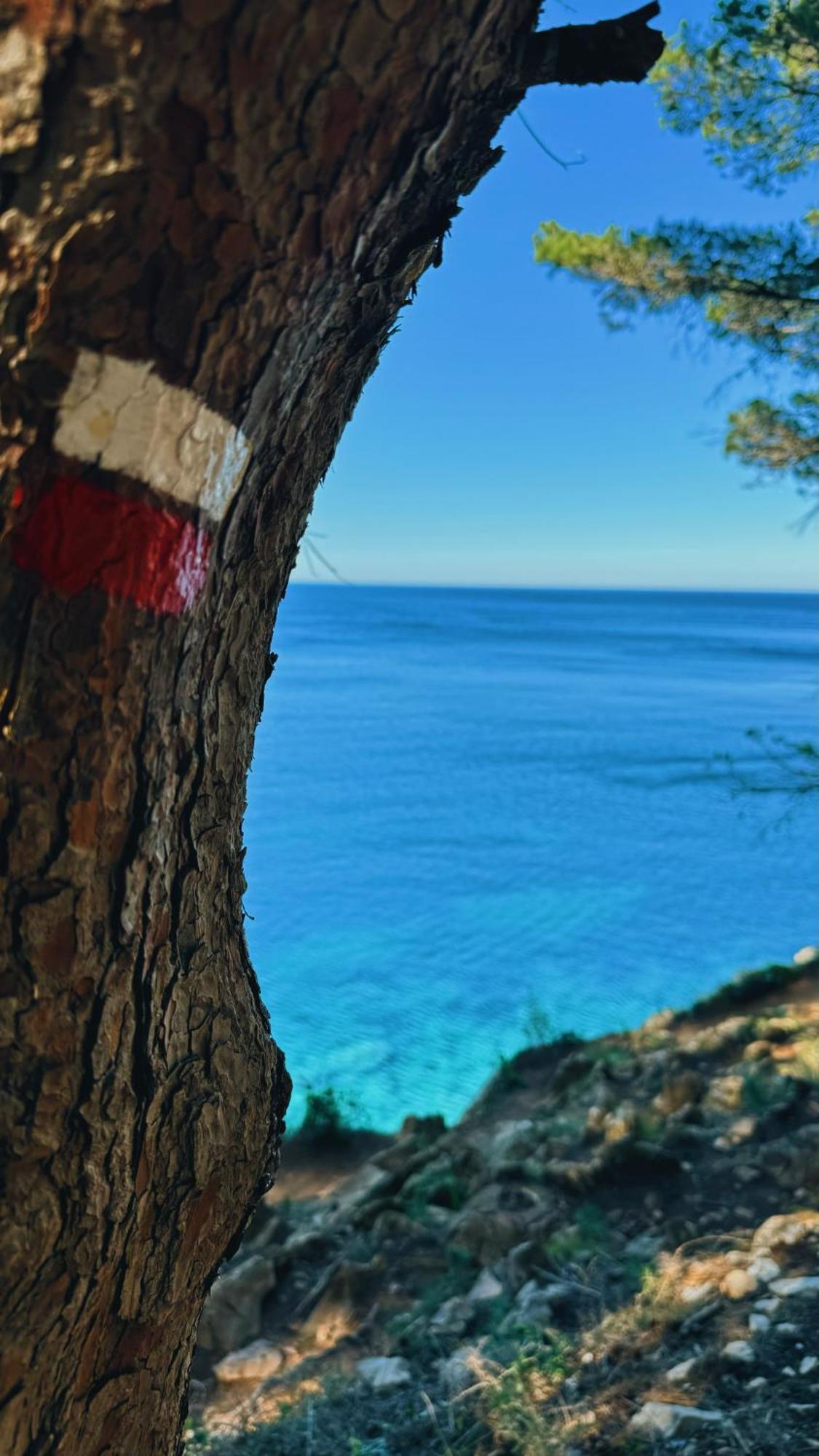 Can Romy Appartement T2F A 20M De La Plage De Cala Montgo L' Escala Εξωτερικό φωτογραφία
